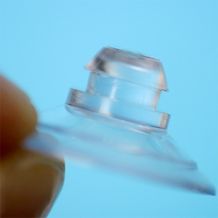 Suction Cup - close up Suction Cup - close up