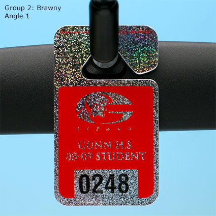 Holographic Hang Tags - Group 2: Brawny - Angle 1 Holographic Hang Tags - Group 2: Brawny - Angle 1