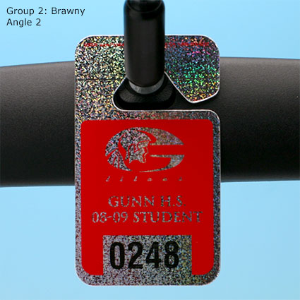 Holographic Hang Tags - Group 2: Brawny - Angle 2 Holographic Hang Tags - Group 2: Brawny - Angle 2